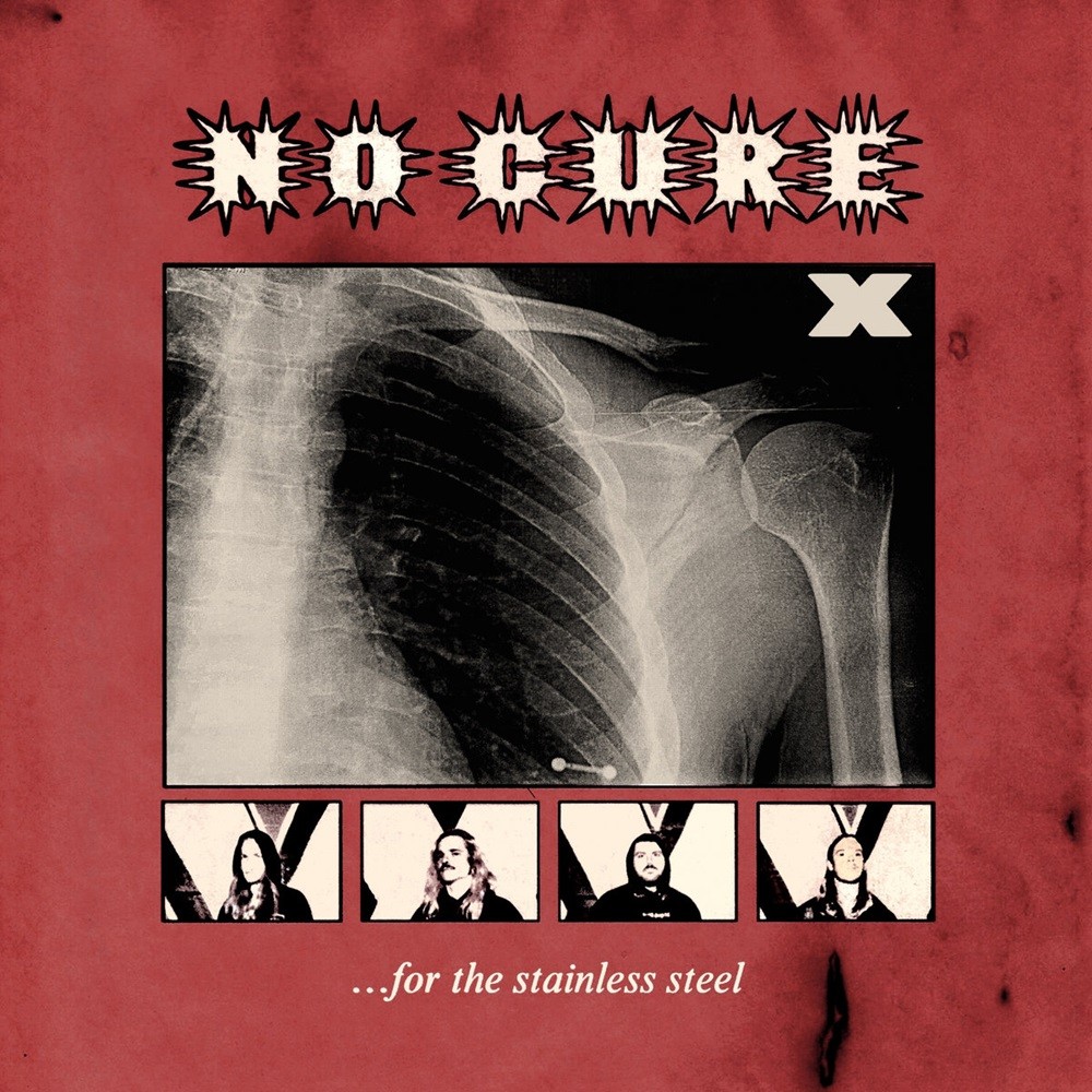 No Cure - ...For the Stainless Steel (2022) Cover