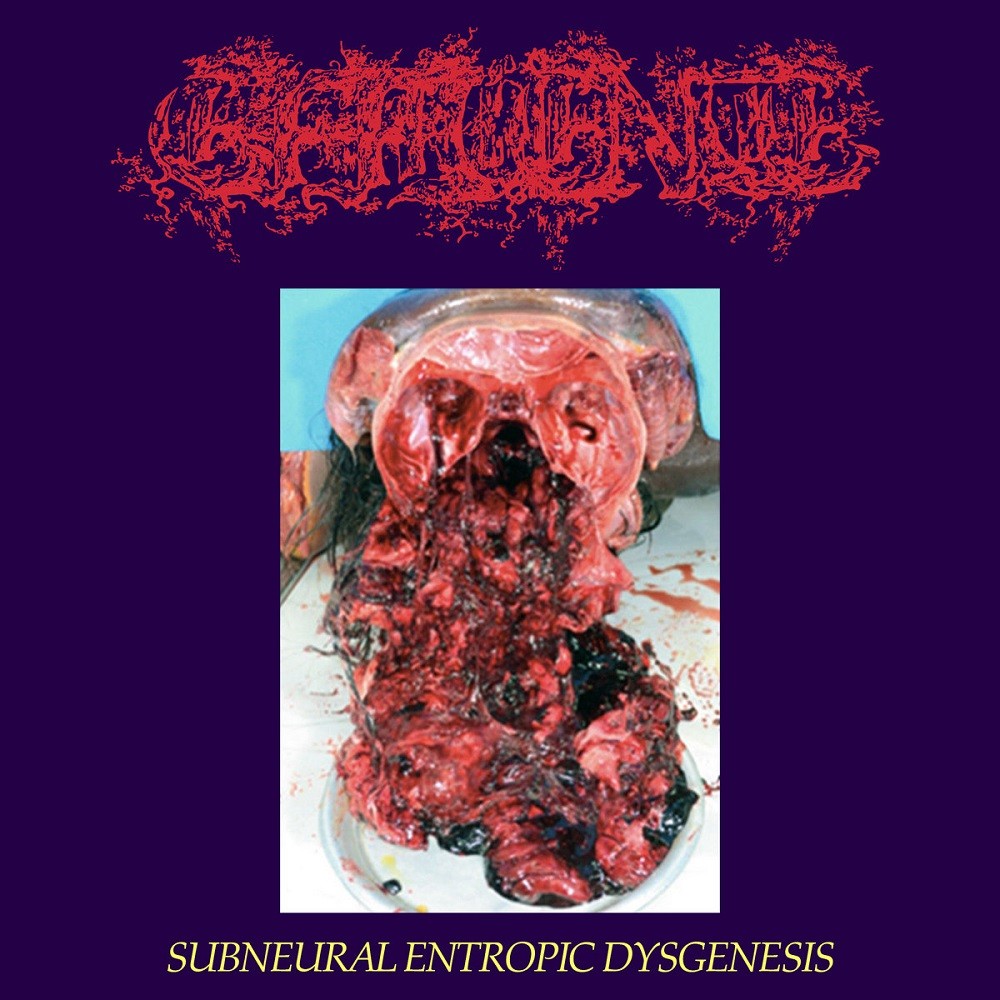 Effluence - Subneural Entropic Dysgenesis (2020) Cover