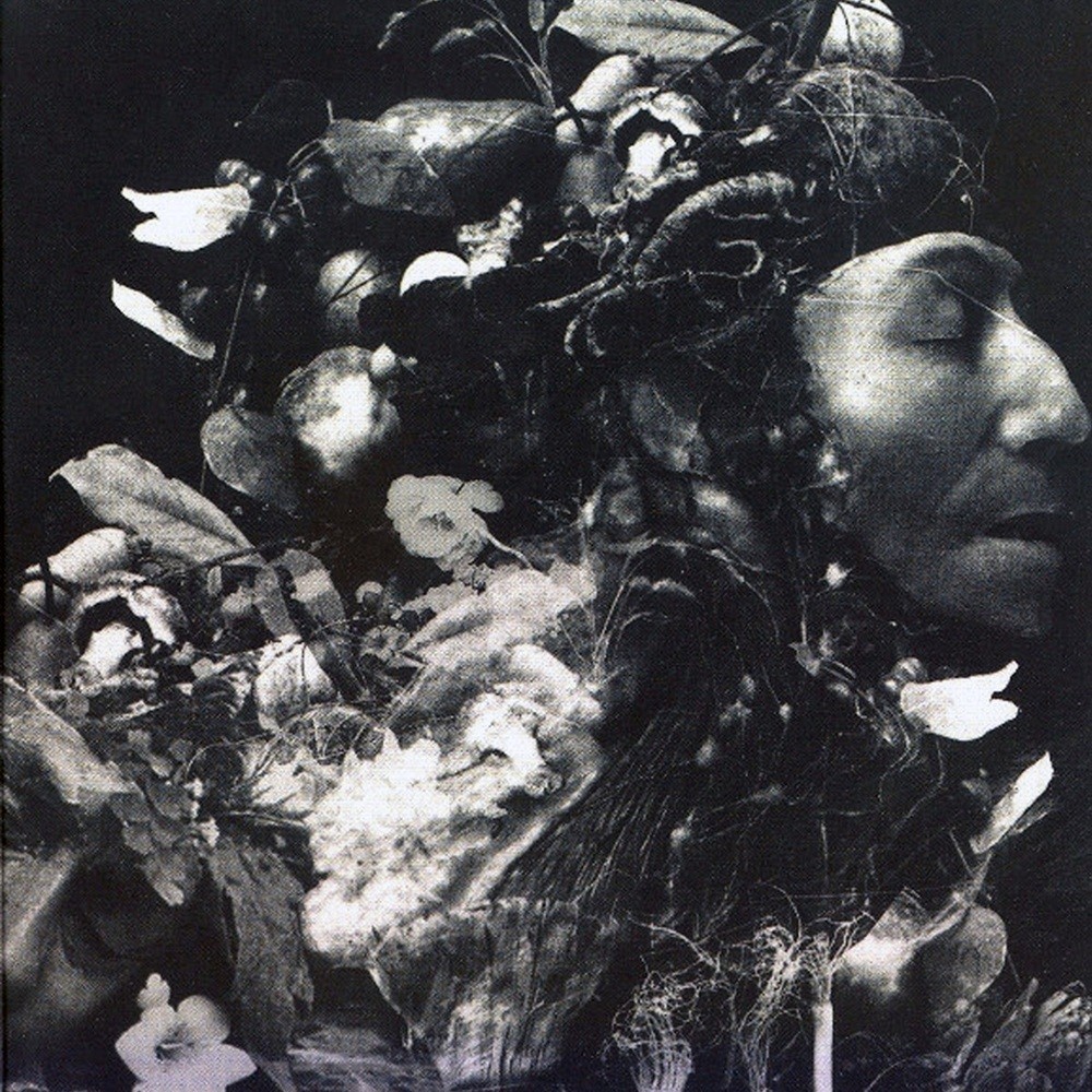 Kingdom - Kingdom (2010) Cover