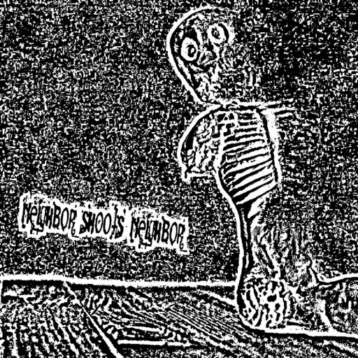 Neighbor Shoots Neighbor