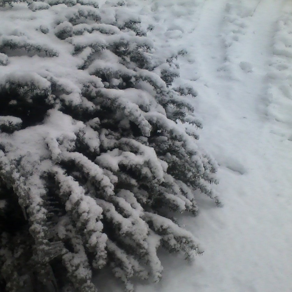 Eissturm - Winter (2014) Cover