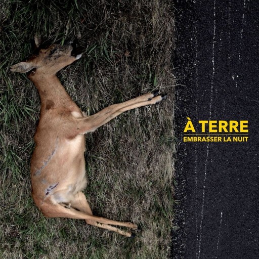 Embrasser la nuit