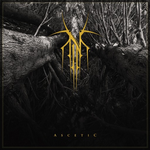 Ascetic