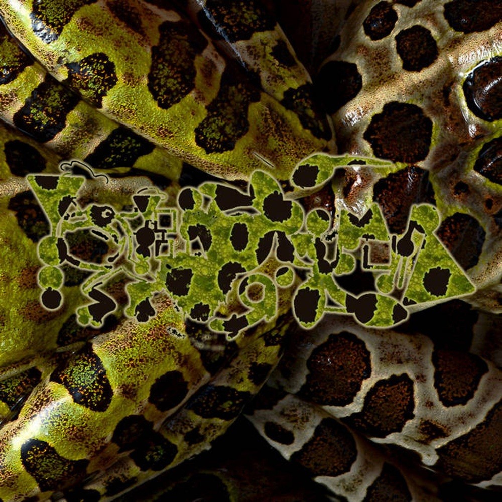 Phyllomedusa - Hard Leopardstyle (2024) Cover