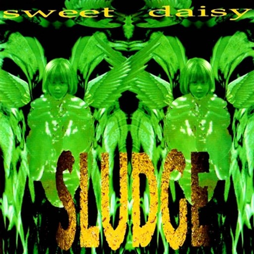 Sweet Daisy