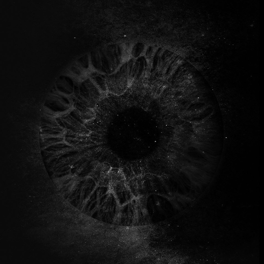 Ddent - Chien noir (2014) Cover