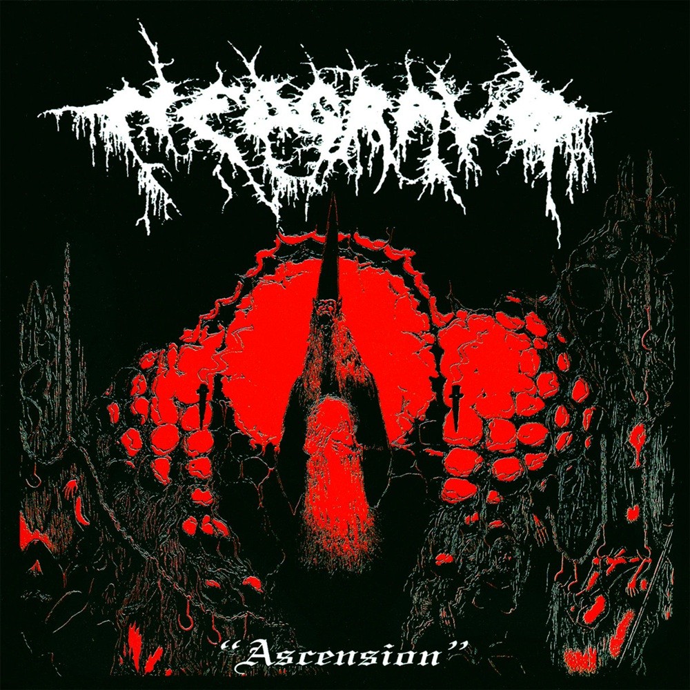 Nedgravd - Ascension (2026) Cover