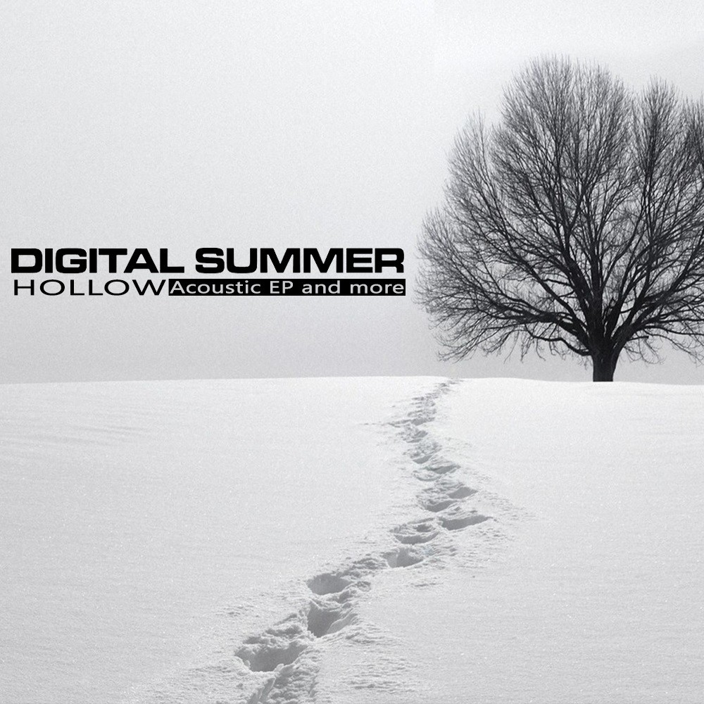 Digital Summer - Hollow (2008) Cover