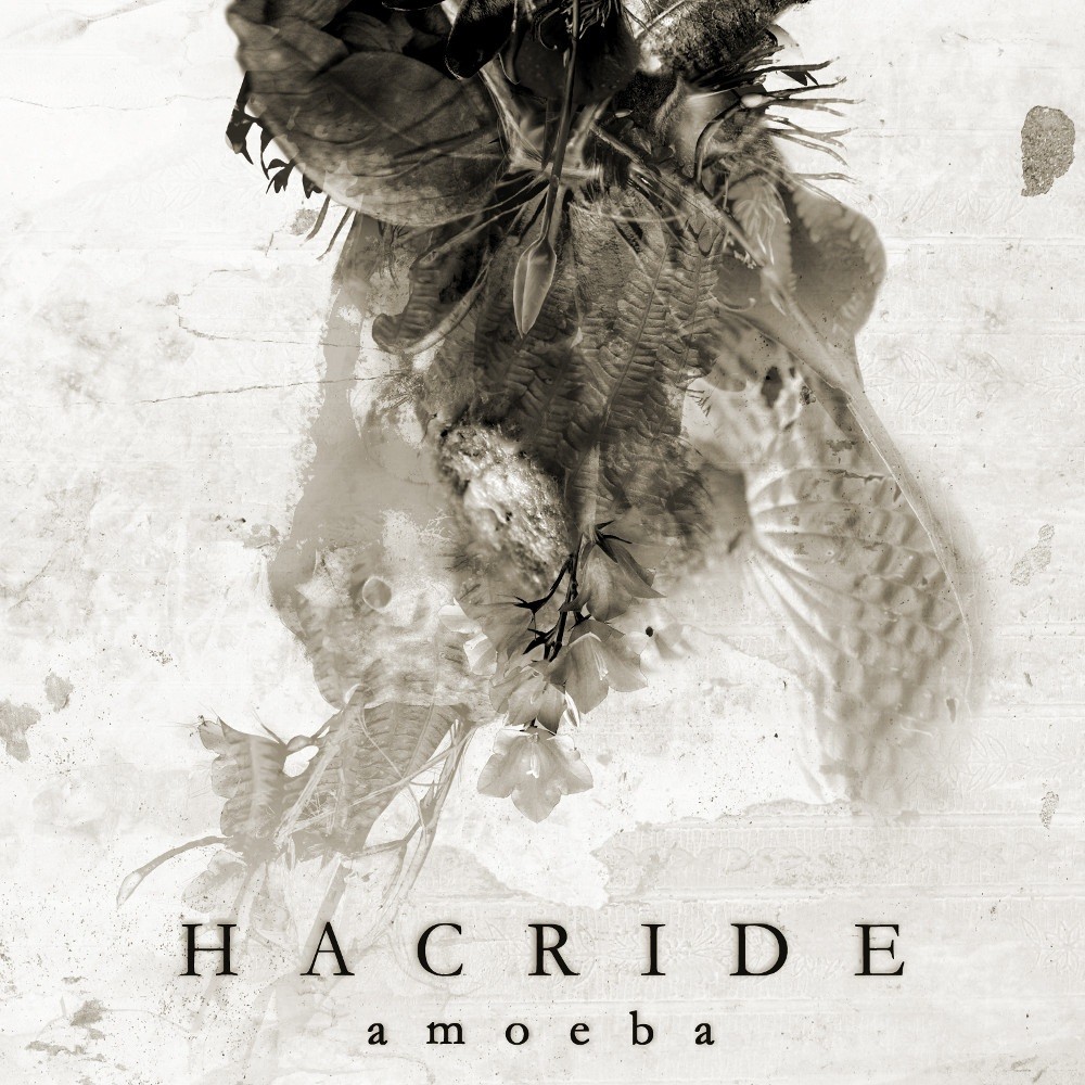 Hacride - Amoeba (2007) Cover
