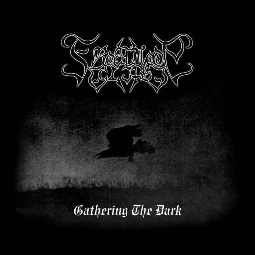 Gathering the Dark