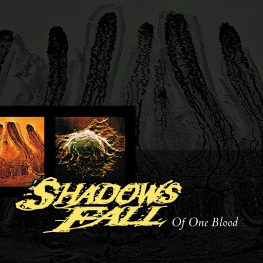 Shadows Fall - Of One Blood 2000