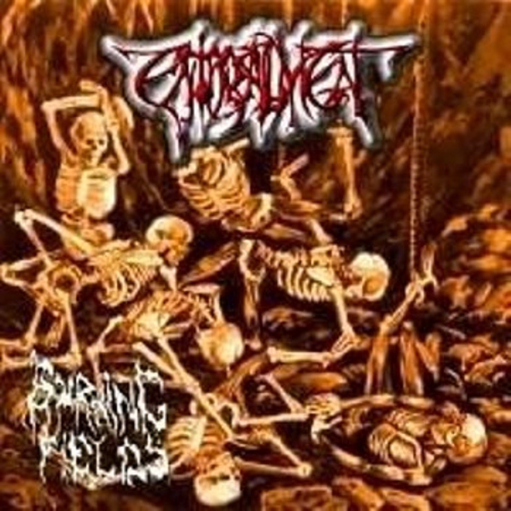 Enthrallment - Burning Fields (2001) Cover