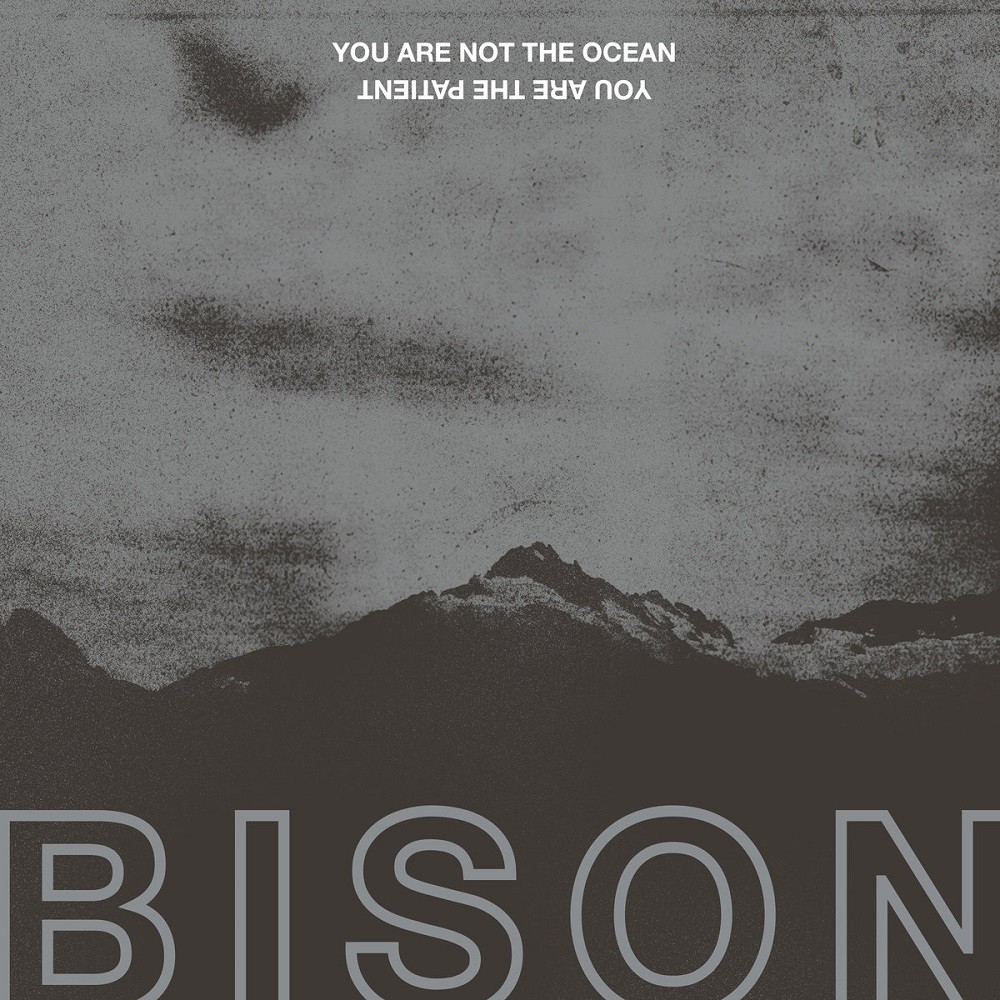 Bison - You Are Not the Ocean You Are the Patient (2017) Cover