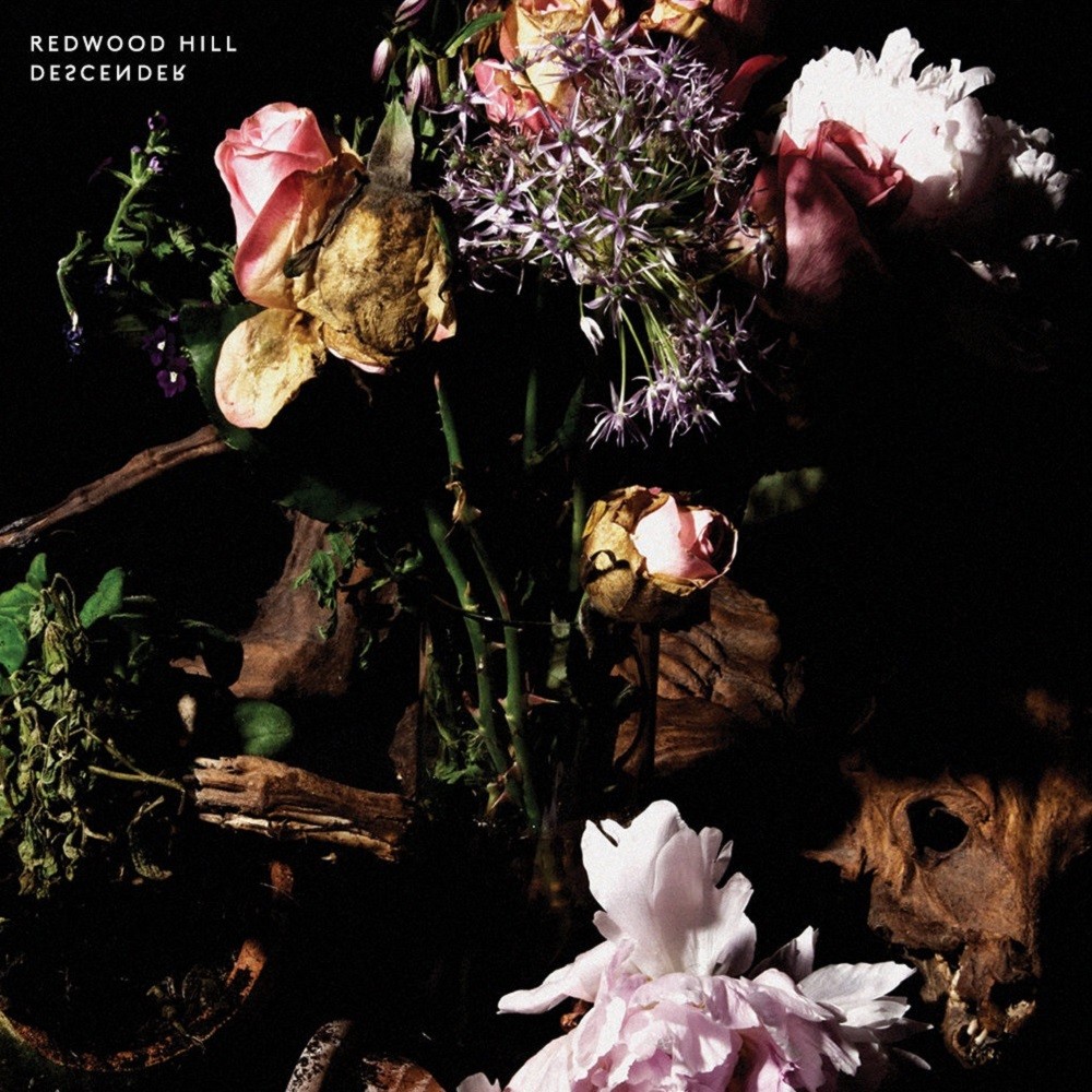 Redwood Hill - Descender (2013) Cover