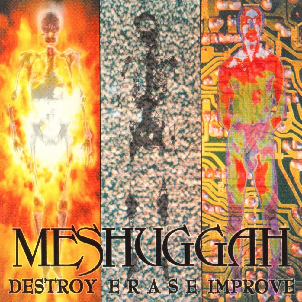 Meshuggah - Destroy Erase Improve (1995) Cover