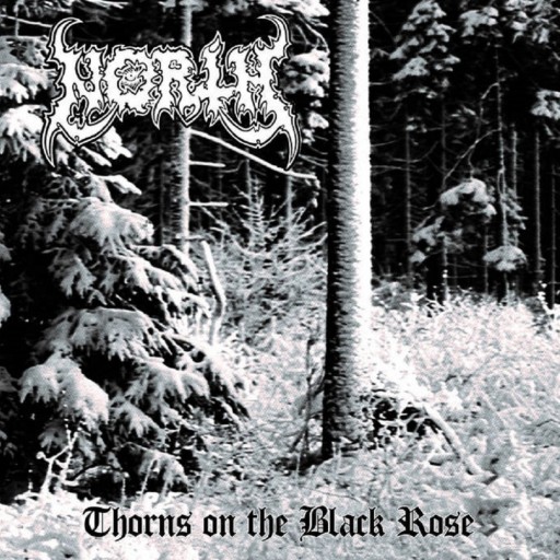 Thorns on the Black Rose