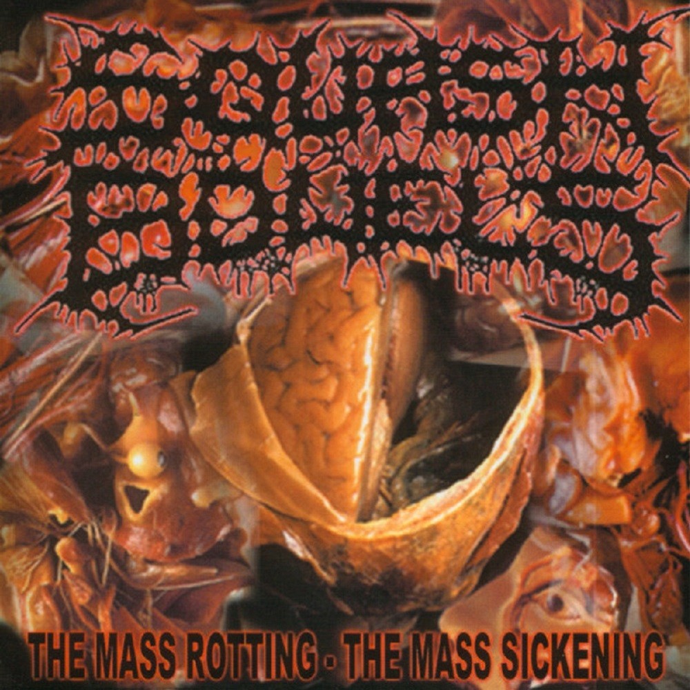 Squash Bowels - The Mass Rotting - The Mass Sickening (2002) Cover