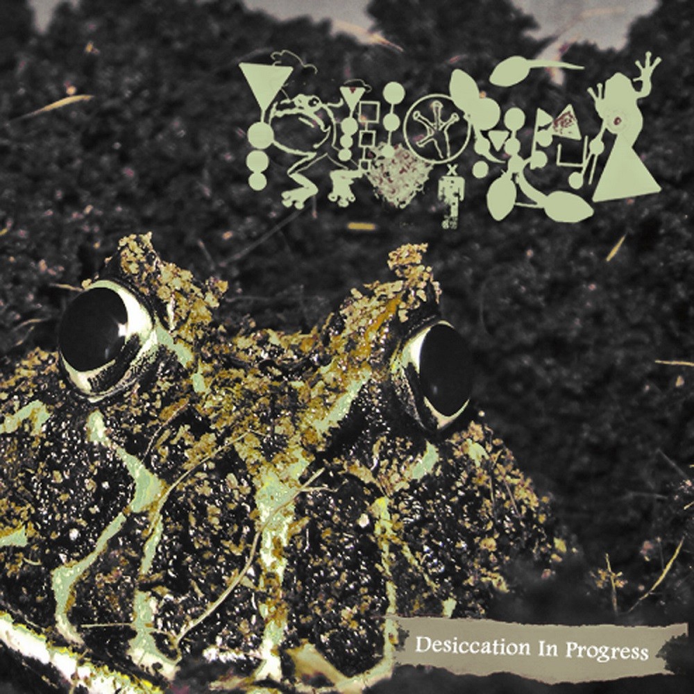 Phyllomedusa - Desiccation in Progress (Version II) (2011) Cover