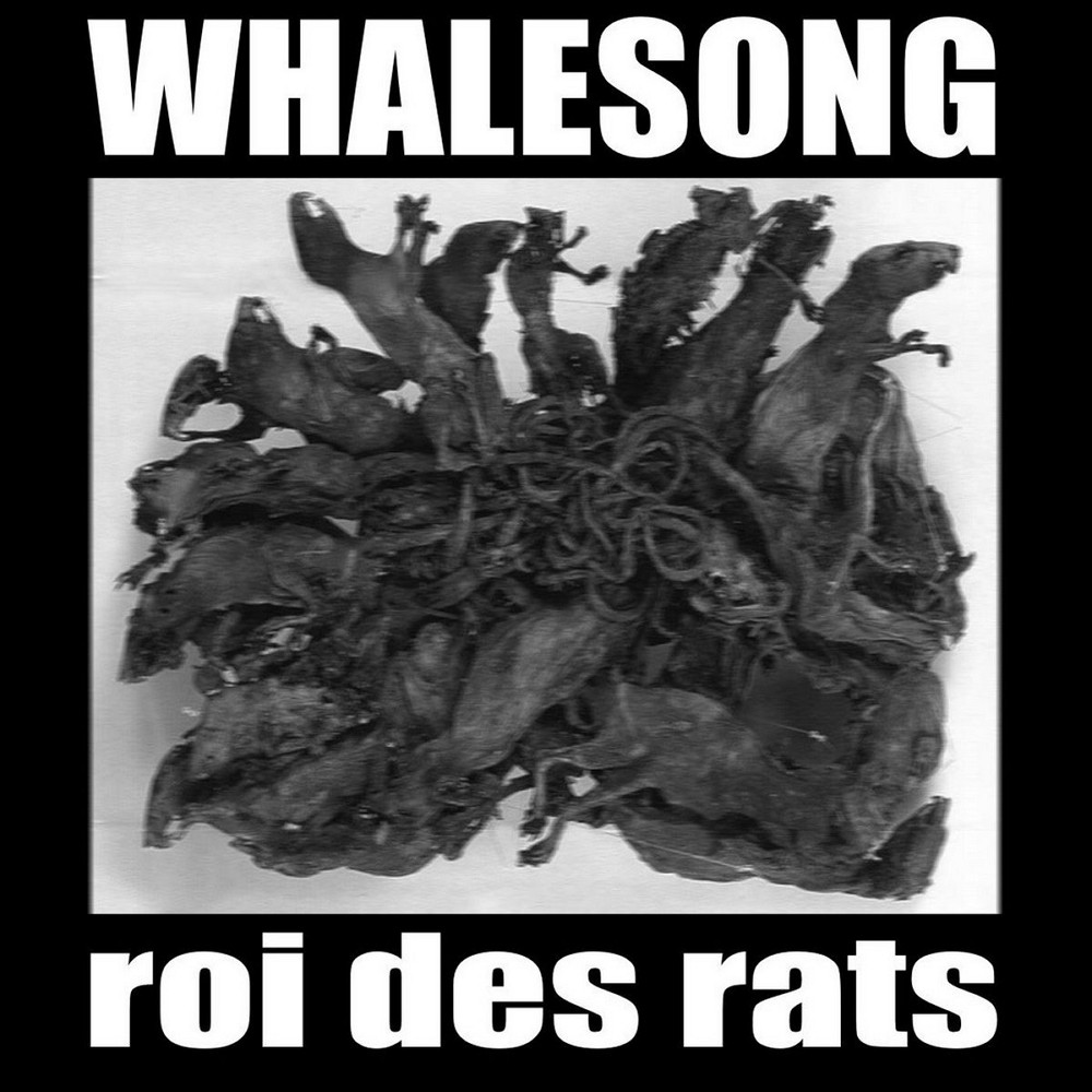 Whalesong - Roi des Rats (2015) Cover