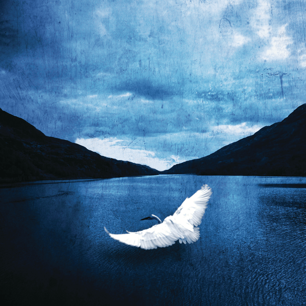 Sara - Veden äärelle (2008) Cover
