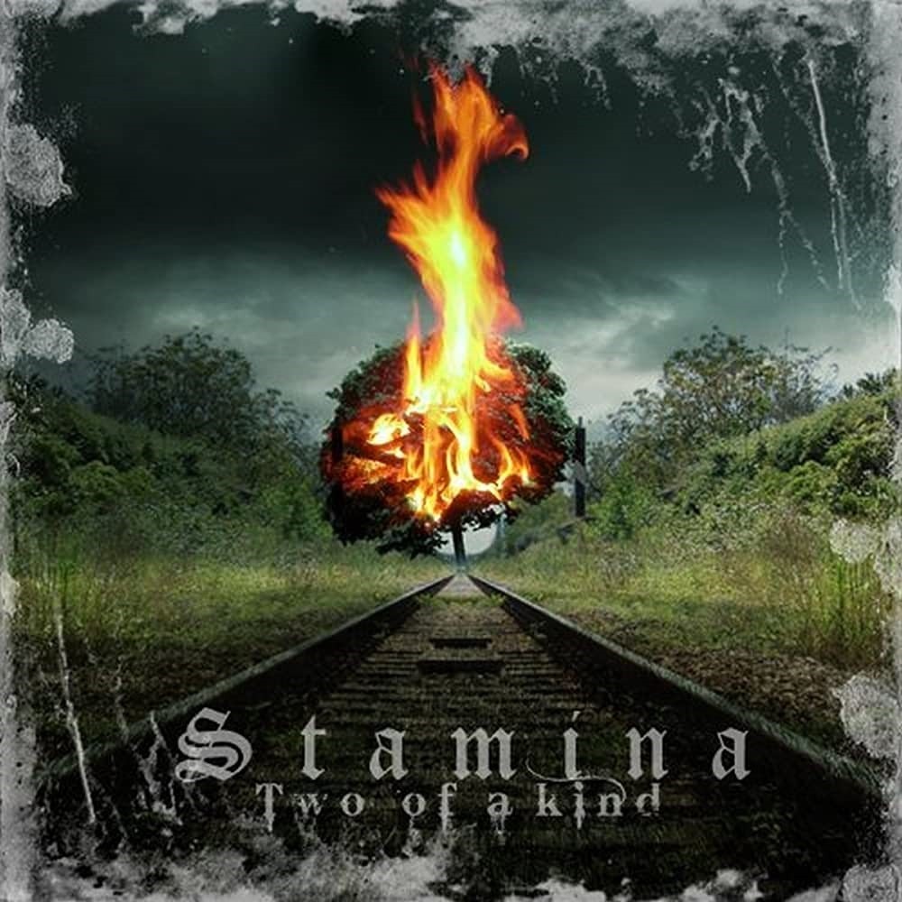 Stamina - Two of a Kind (2010) Cover