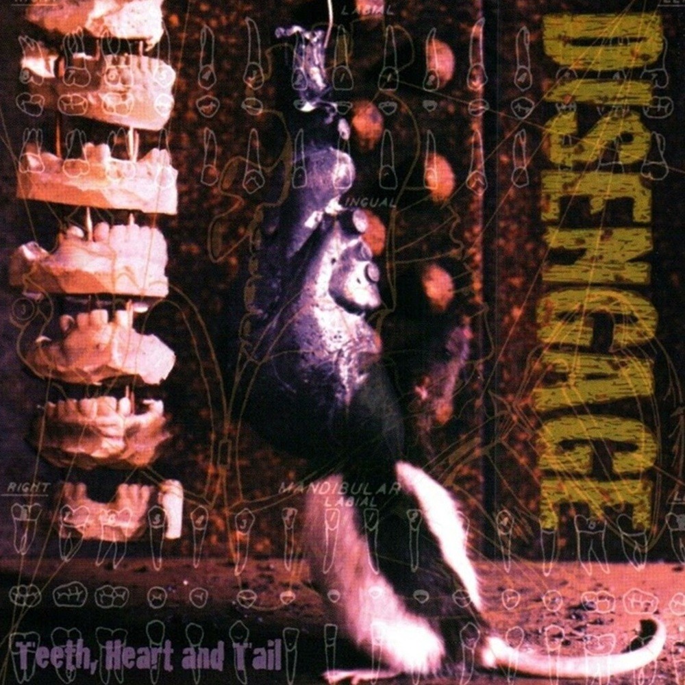 Disengage - Teeth, Heart and Tail (1997) Cover