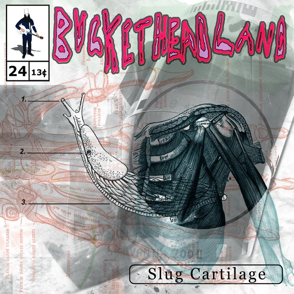 Buckethead - Pike 24 - Slug Cartilage (2013) Cover