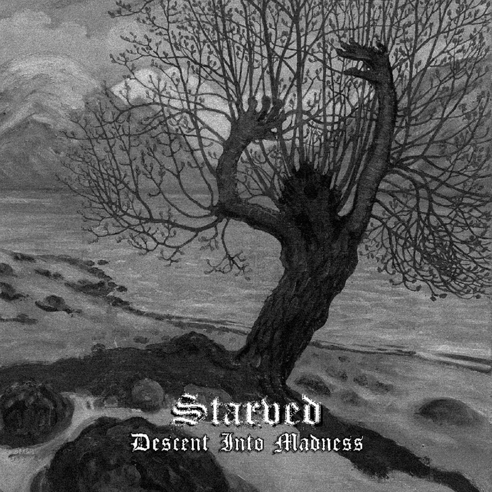 Starved - Descent Into Madness (2022) Cover