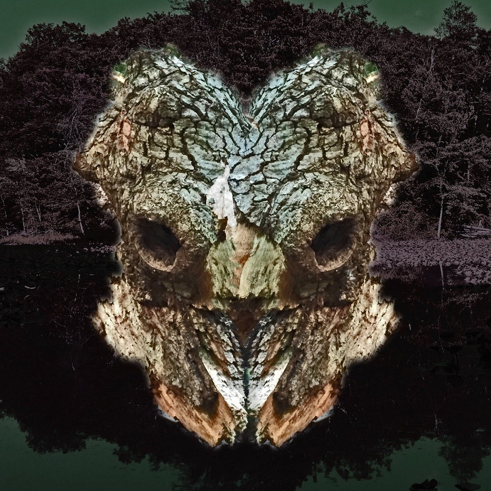 Phyllomedusa - Spiracle Sinistrally Mask Menguled (2016) Cover