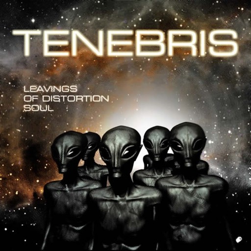 Leavings of Distortion Soul