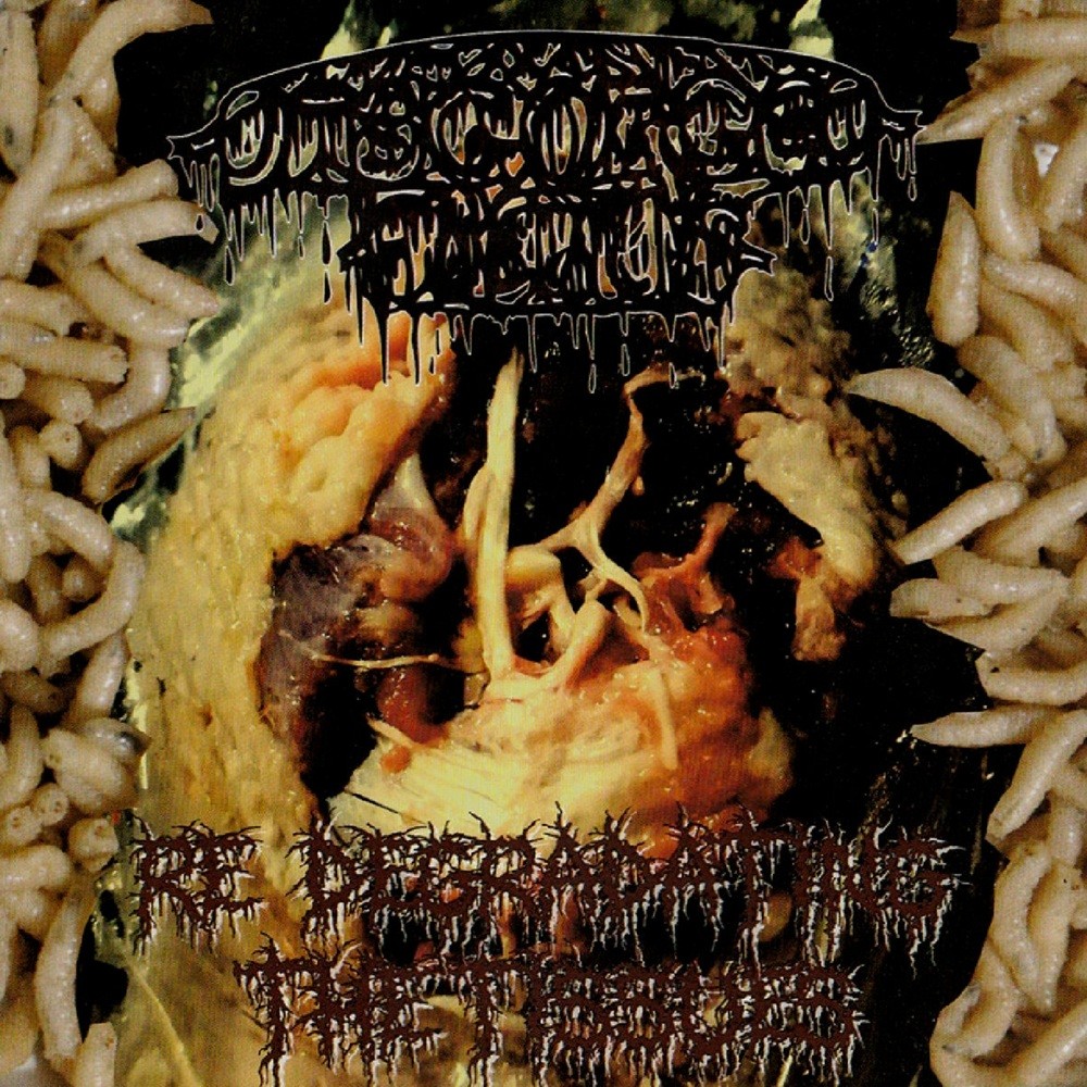 Disgorged Foetus - Re Degradating the Tissues (2020) Cover