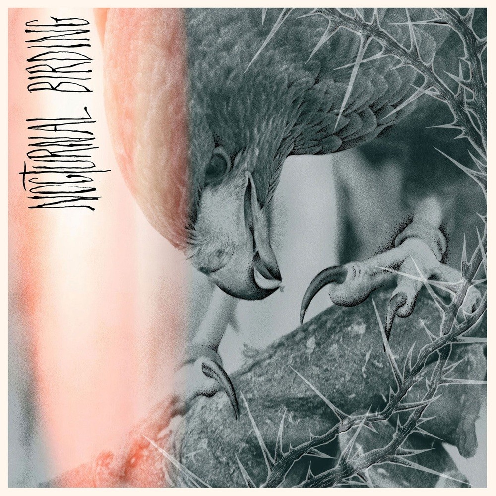 Author & Punisher - Nocturnal Birding (2025) Cover