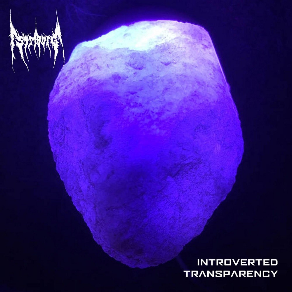 Striborg - Introverted Transparency (2018) Cover