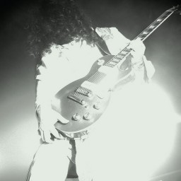 Live White