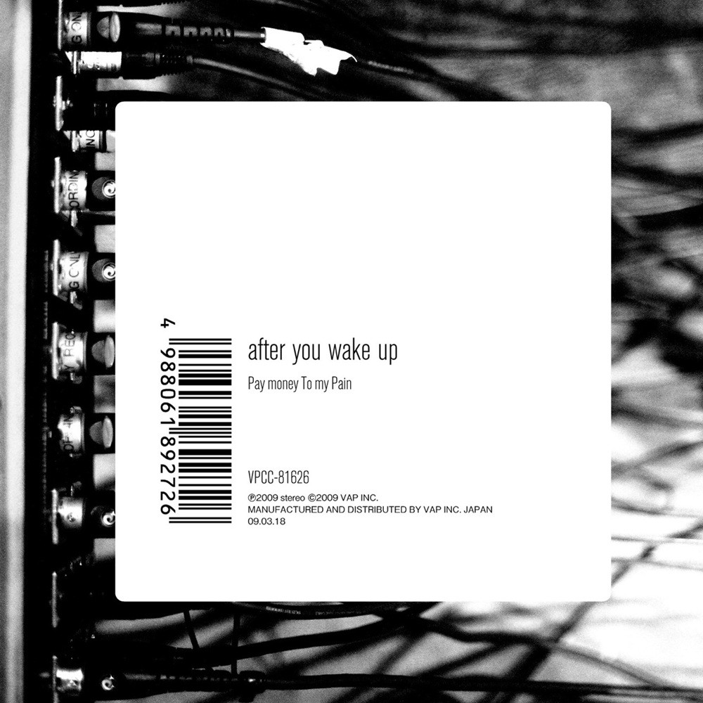 Pay money To my Pain - After You Wake Up