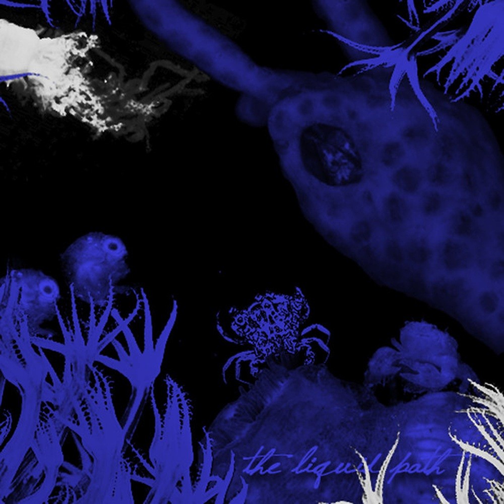 Crustacea Zoëa Larvae - The Liquid Path (2010) Cover