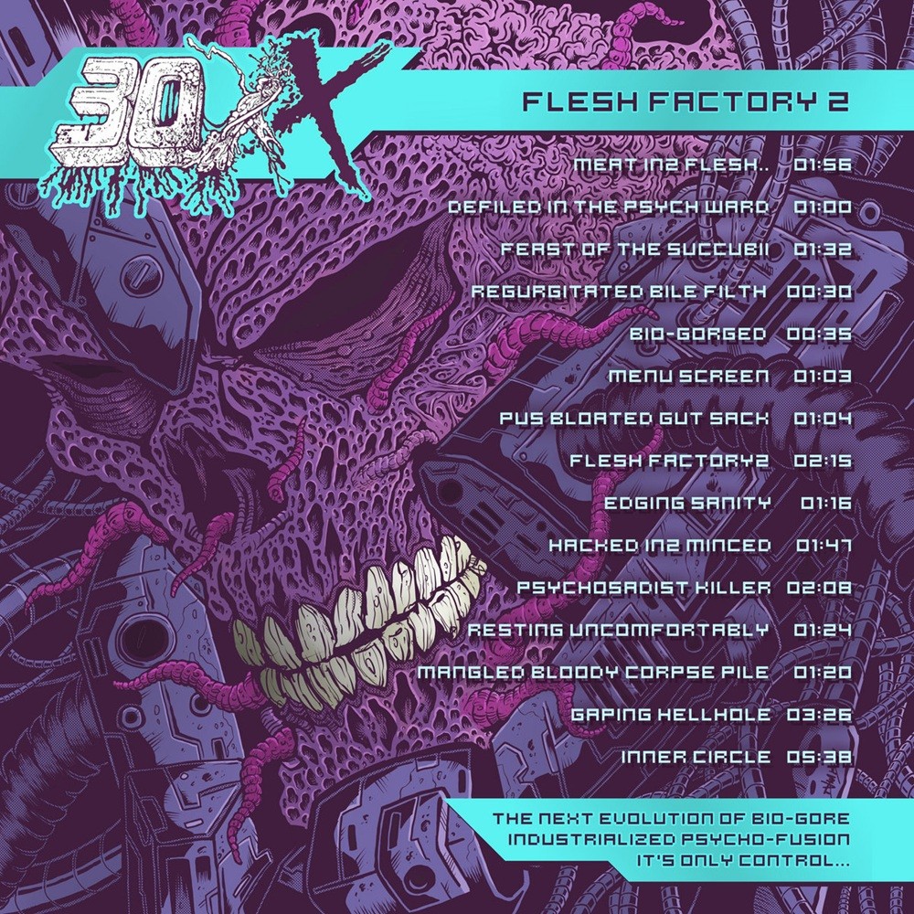 30XX - Flesh Factory 2 (2024) Cover