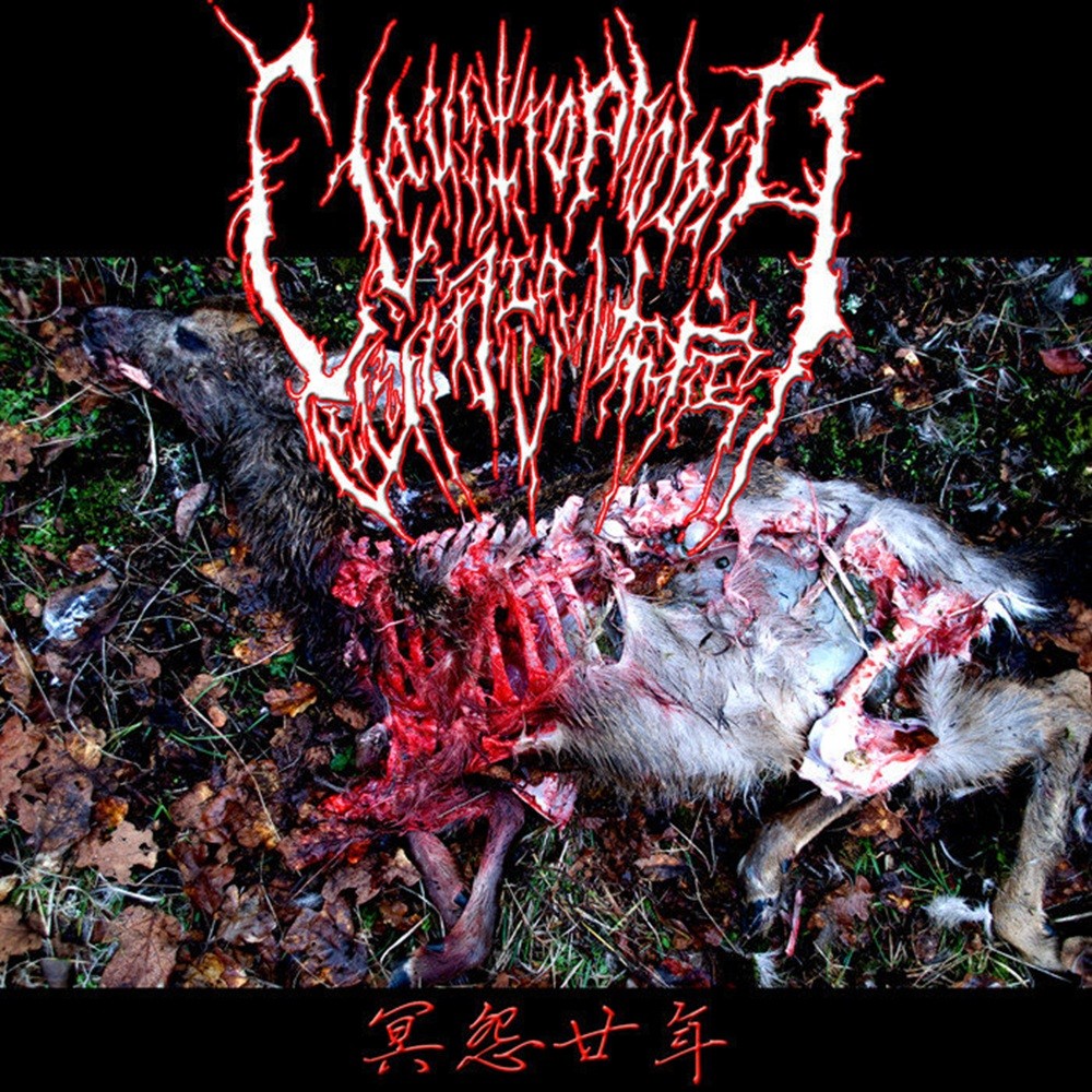 Claustrophobia - 冥怨廿年 (2013) Cover