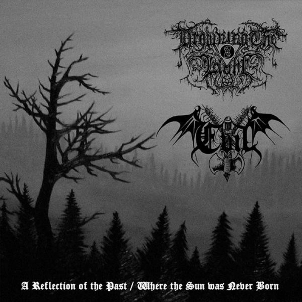 Drowning the Light / Evil - A Reflection of the Past / Where the Sun Was Never Born (2009) Cover