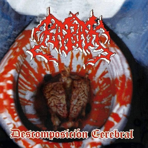 Descomposición cerebral