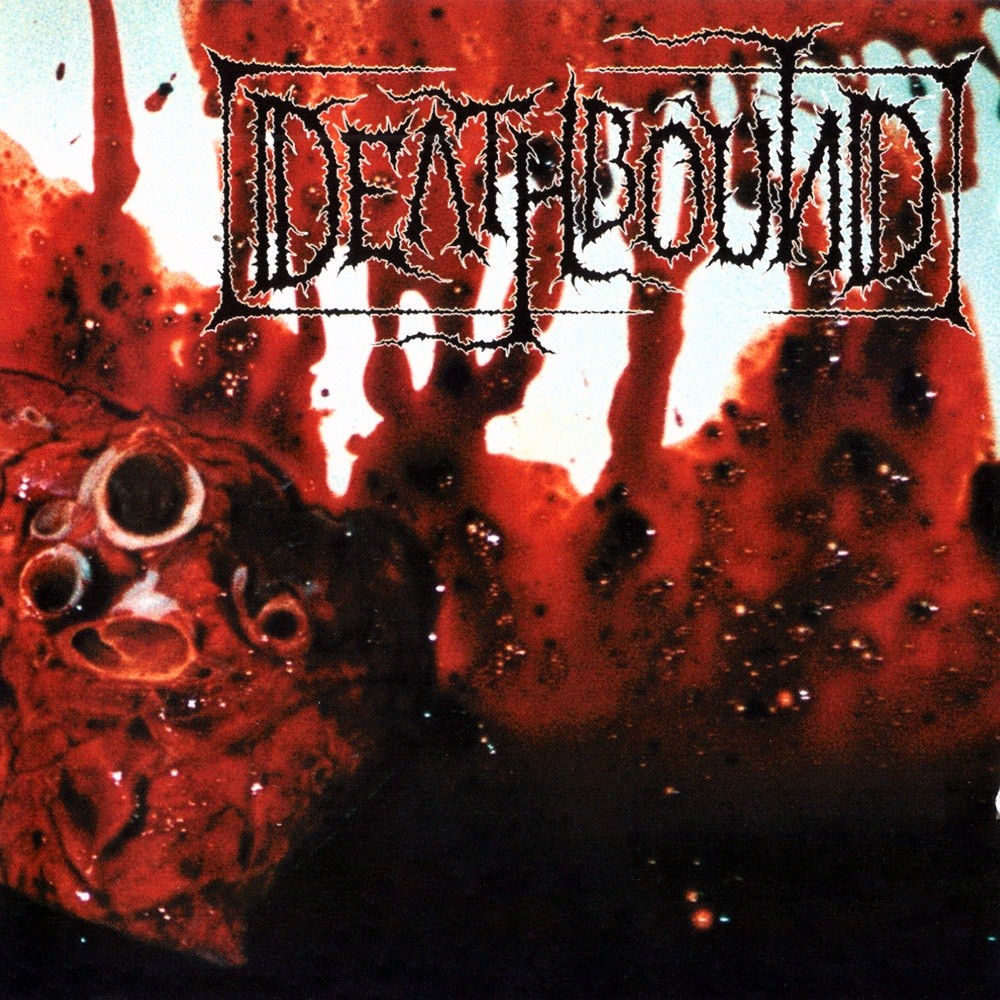 Deathbound - To Cure the Sane with Insanity (2003) Cover