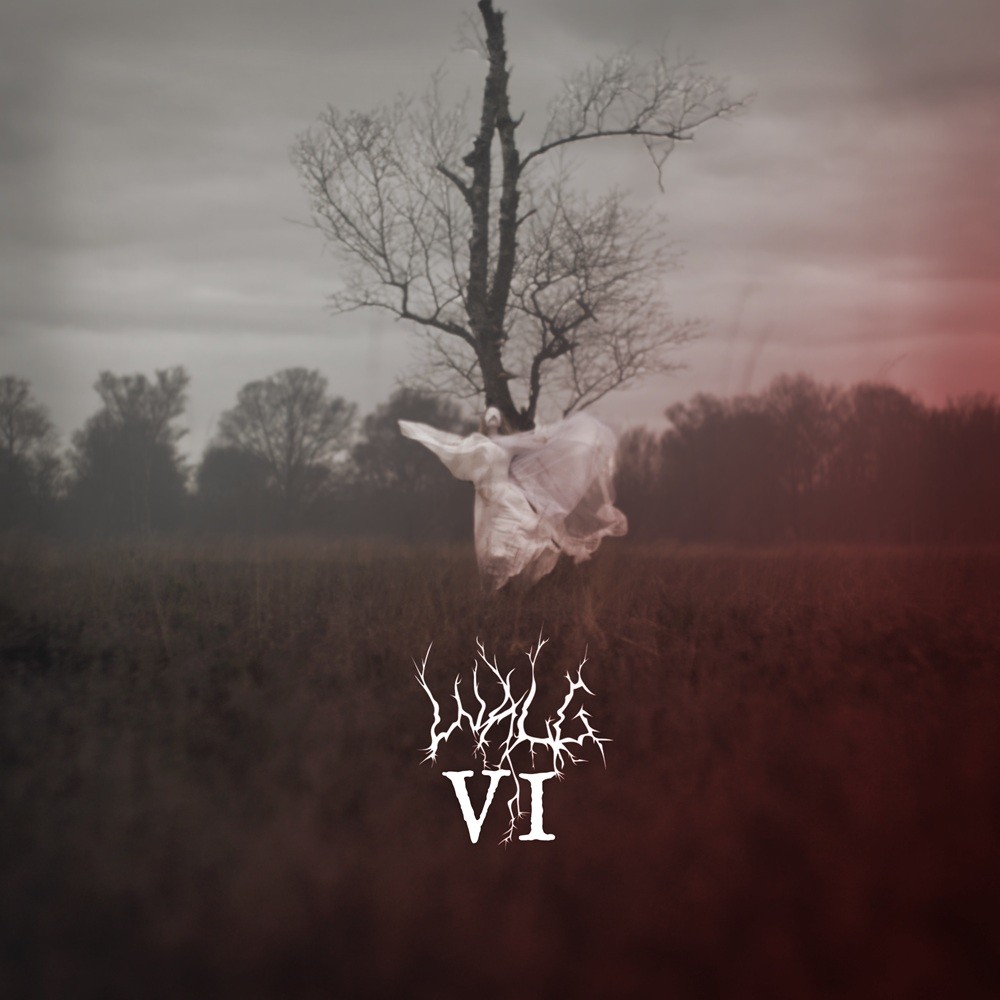 Walg - VI (2026) Cover