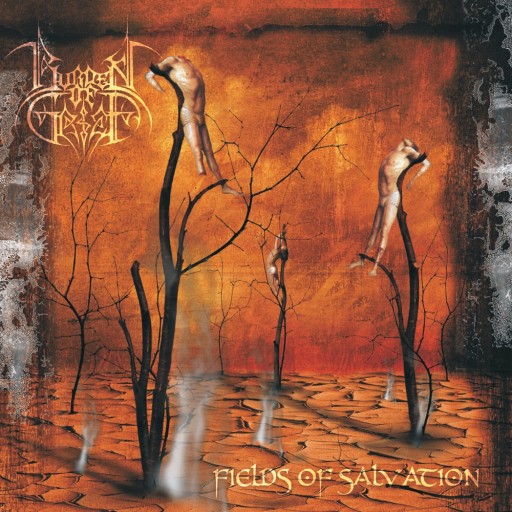 Fields of Salvation