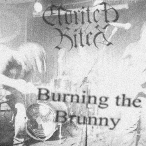 Burning the Brunny