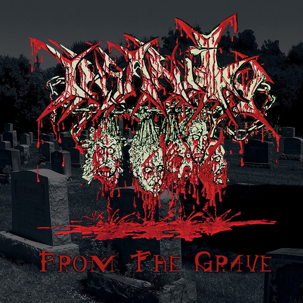 Insanity - From the Grave (2005) Cover