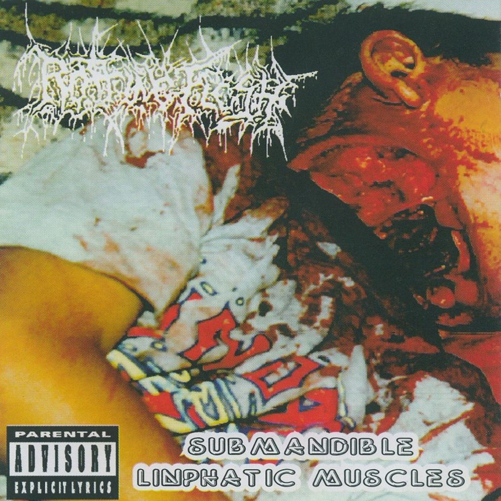 Rotting Flesh - Submandible Limphatic Muscles (1995) Cover