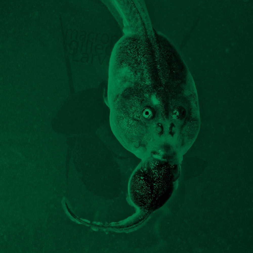 Macrophagous Gilled Larvae - Fierce Young Cannibals (2019) Cover