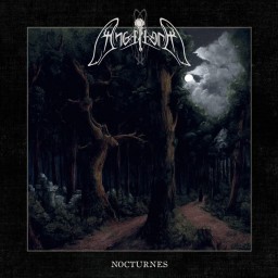 Nocturnes