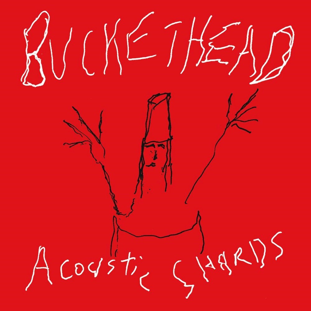 Buckethead - Acoustic Shards (2007) Cover