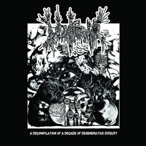 A Decompilation of a Decade of Degenerative Disgust